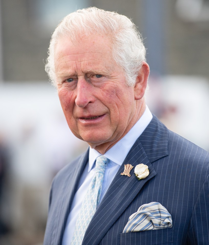 Prince Charles is calling on Sun readers to get involved with our Green Team campaign