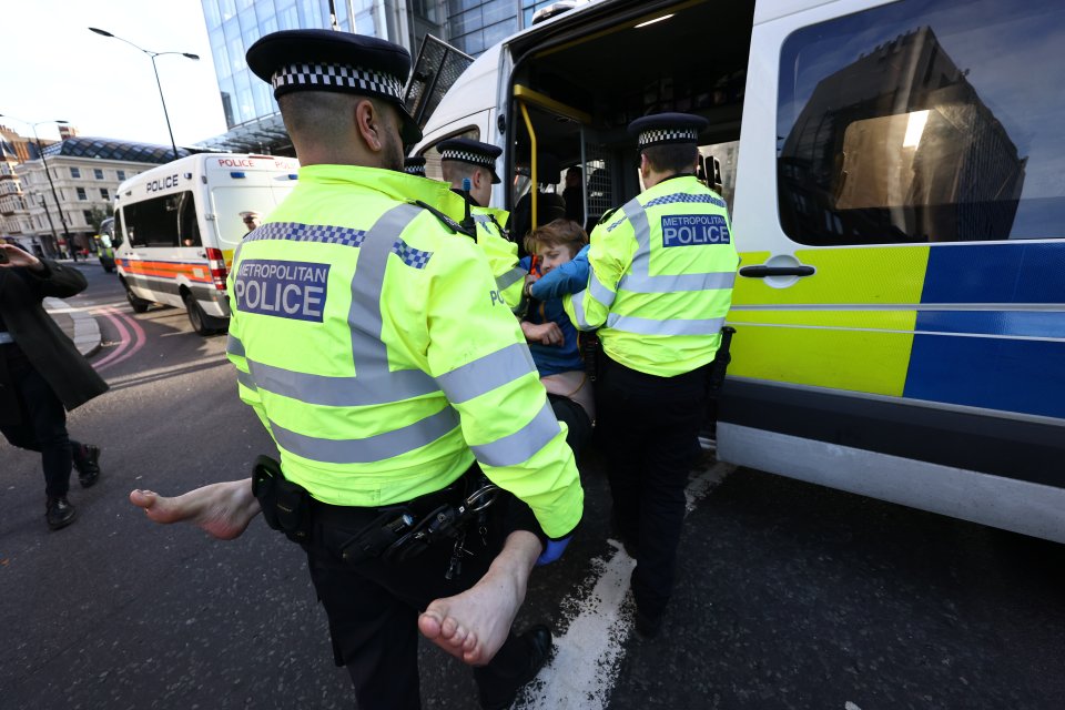 Cops carried a barefoot protester into a van as they broke up the Liverpool Street Station demonstration