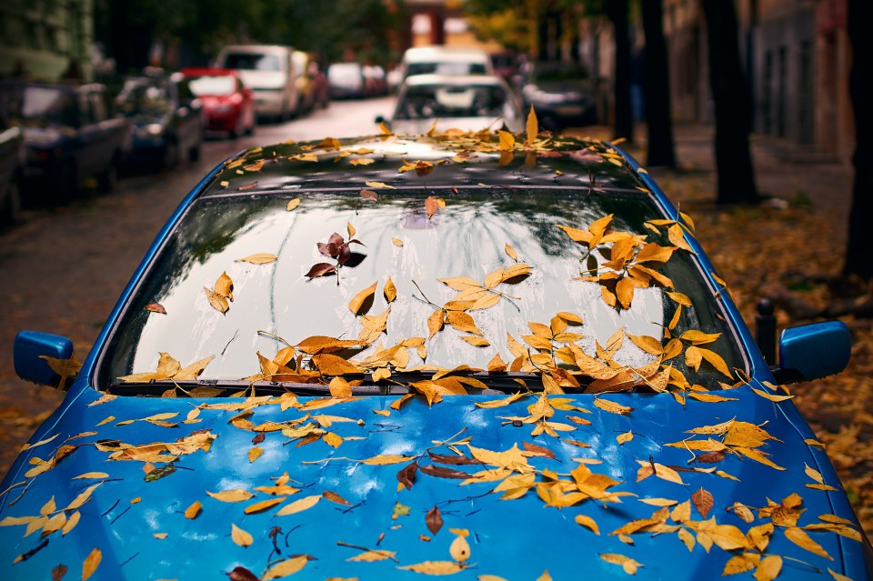 Drivers must keep their windscreens clear and clean