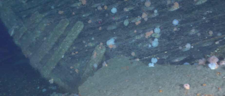 The wooden hull has been damaged by trawler nets