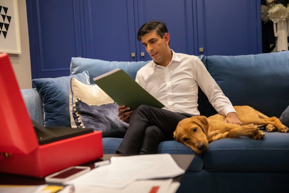 Rishi Sunak fine-tuning the Budget with his new dog Nova