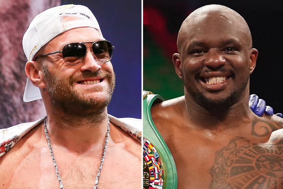 Tyson Fury could fight Dillian Whyte next year