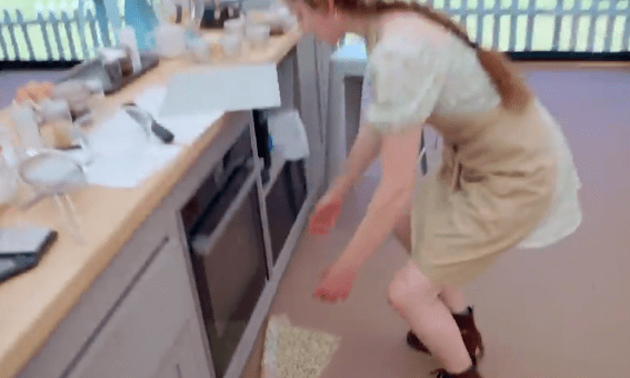 Bake Off star Freya dropped her tuile on the floor