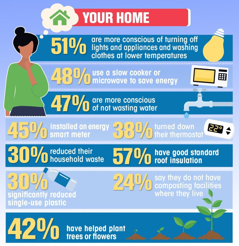 You've helped plant trees and used slow cookers to save energy