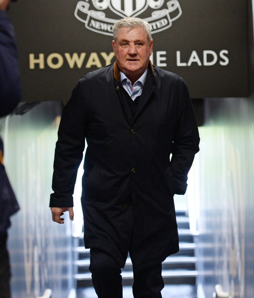 Steve Bruce managed to avoid relegation as Newcastle boss after replacing Rafa Benitez