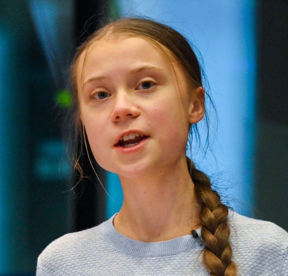 Eco-warrior Greta, 18, also recently slammed world leaders for their 'blah blah blah' promises to address the climate emergency