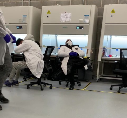 Workers at the Immensa Health Clinic, which was exposed by the Sun after staff members were pictured drinking, brawling and watching porn at the lab