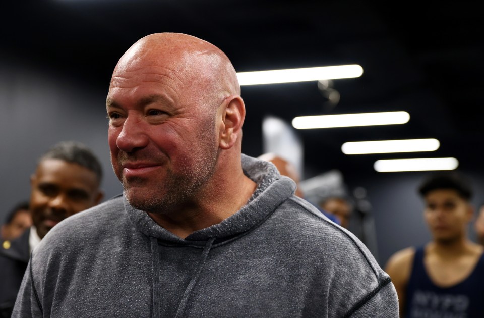 Dana White dismissed Usman's intention to fight Alvarez