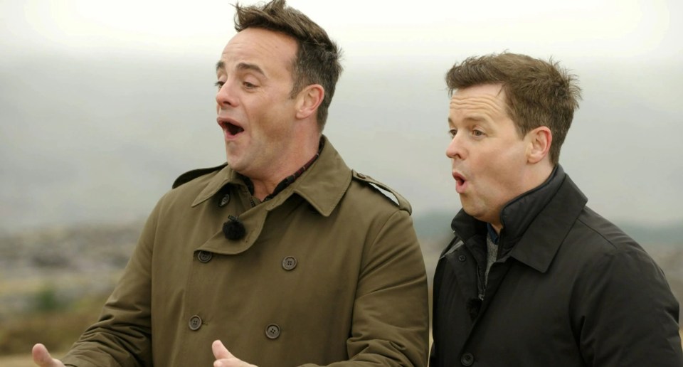 Ant and Dec kicked off the series