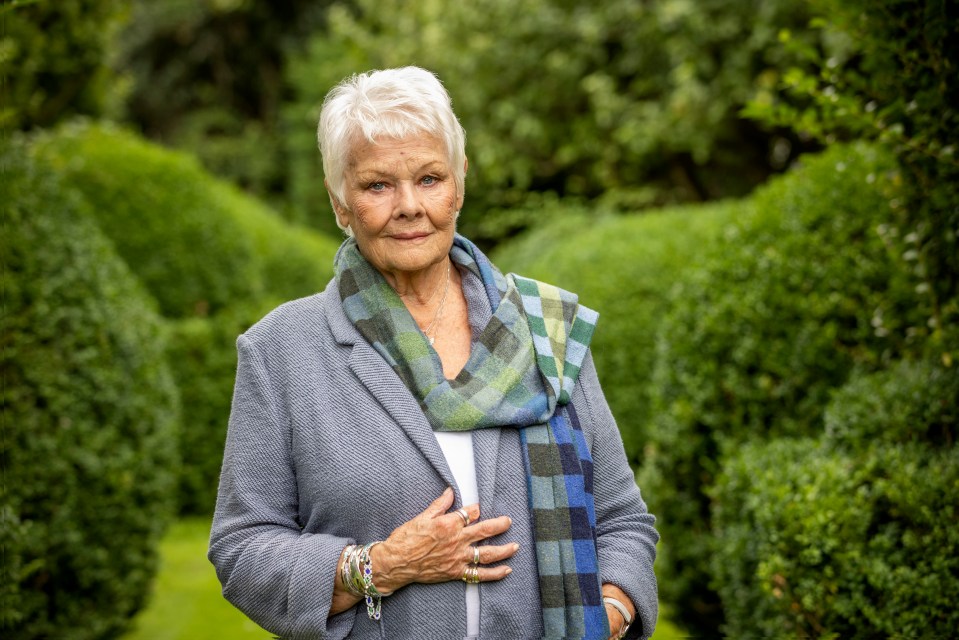 Who Do You Think You Are? has attracted a bevy of famous faces, including Dame Judi Dench