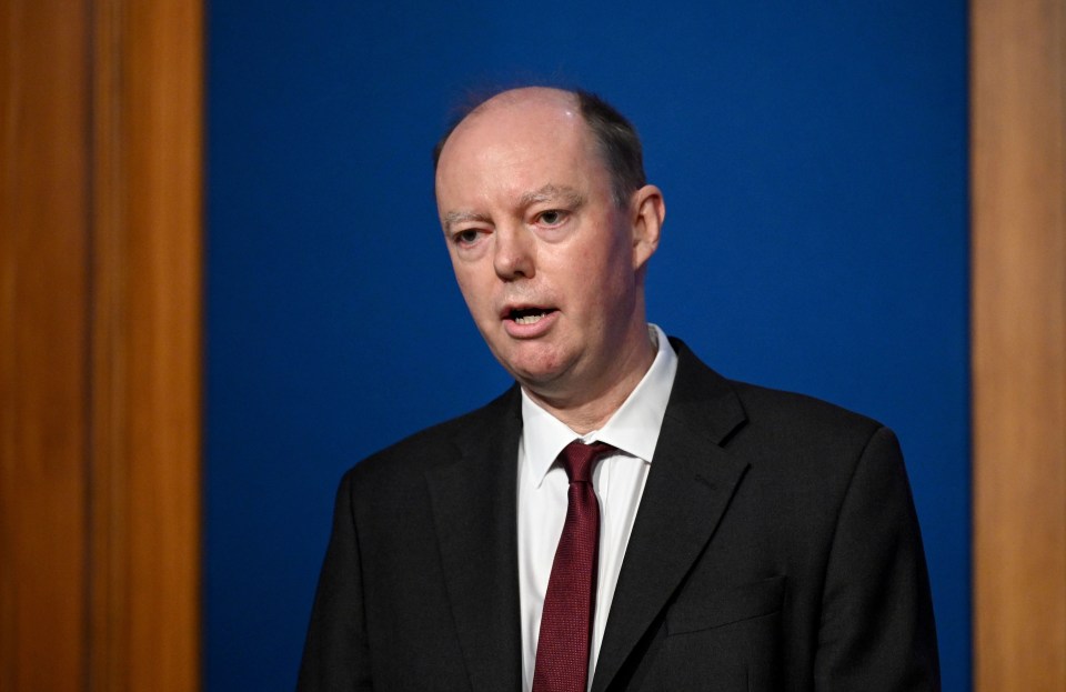 The chief medical officer Prof Chris Whitty at today's No10 briefing