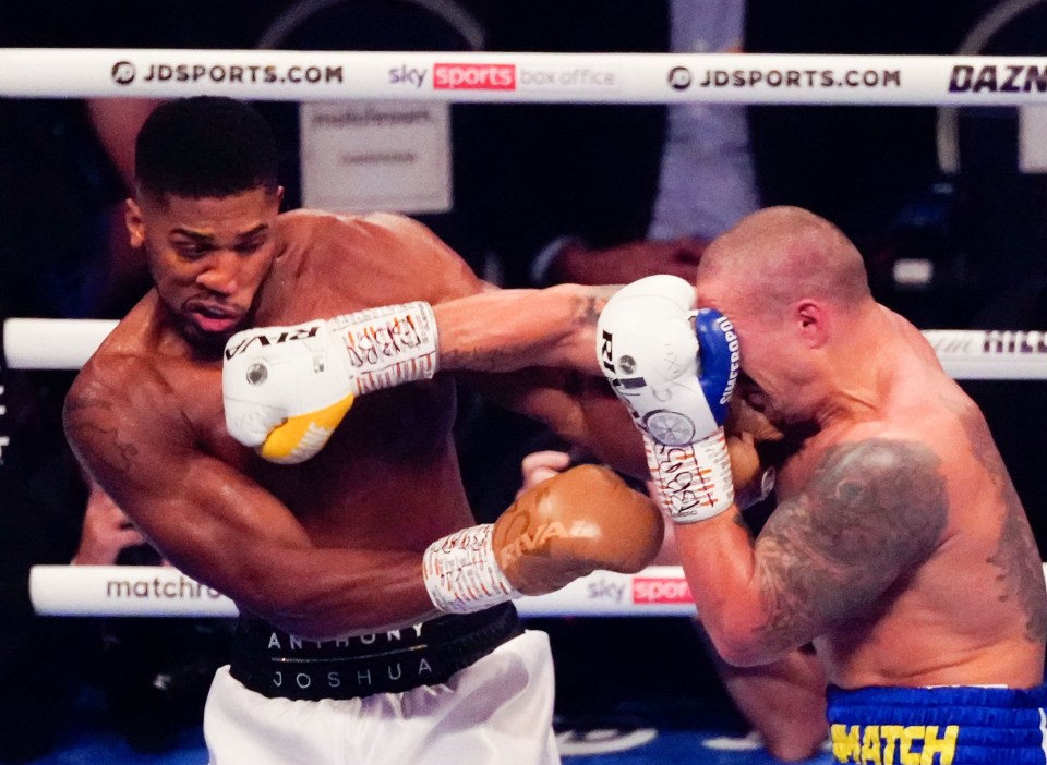 Anthony Joshua suffered a unanimous decision defeat to Oleksandr Usyk in September