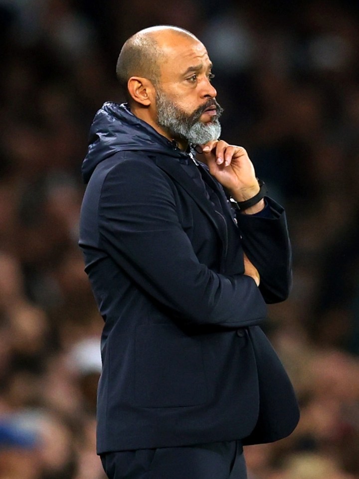 Nuno Espirito Santo was sacked by Tottenham this week