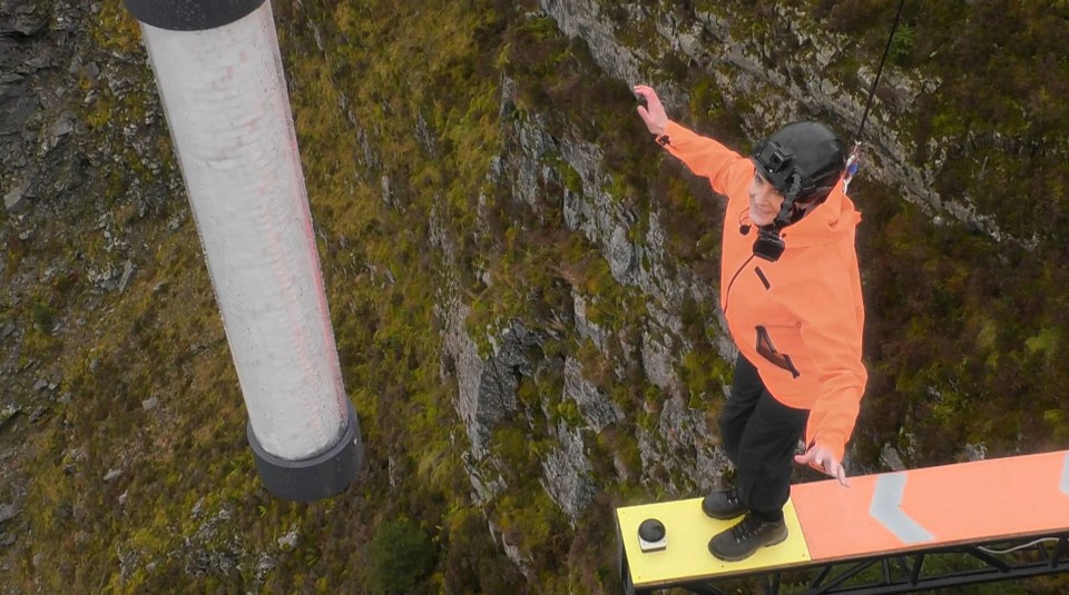 Hosts Ant and Dec grinned as terrified contestants faced the harrowing Walk The Plank trial