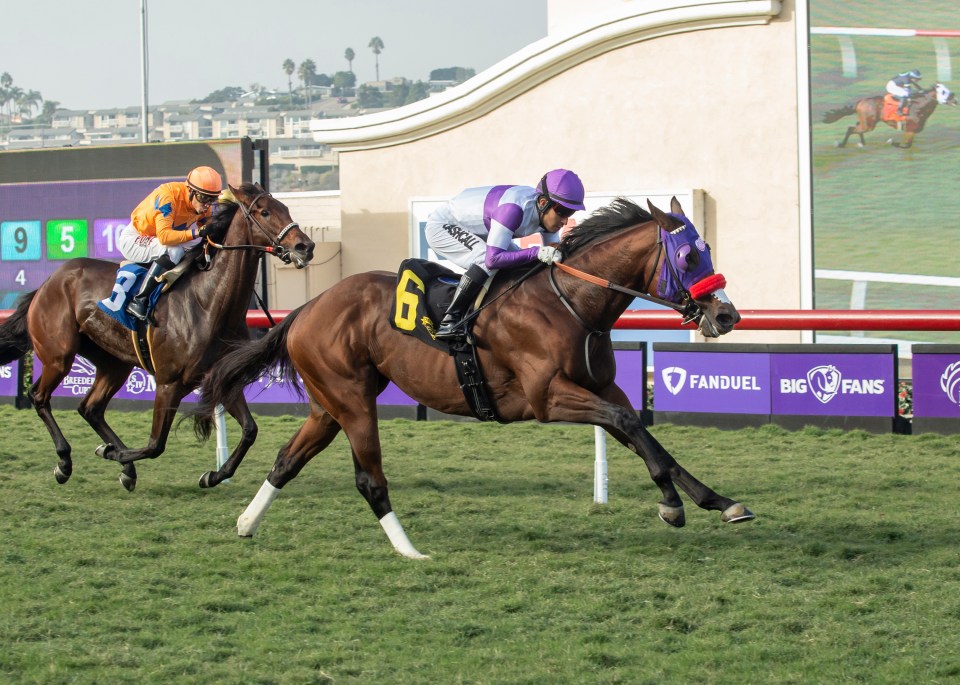 Racing at Del Mar takes place for the Breeders' Cup