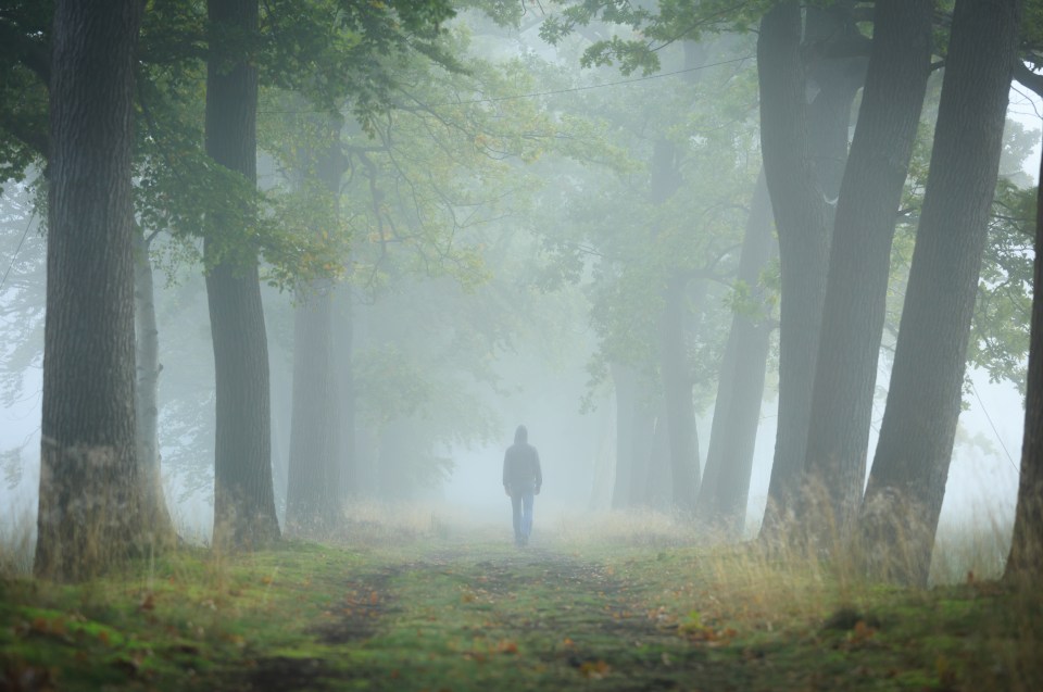 A woman believes she encountered the UK version of Bigfoot in North East England as a child