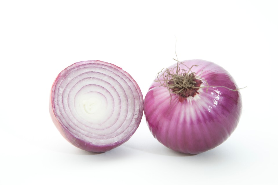 Onions are known to absorb odors