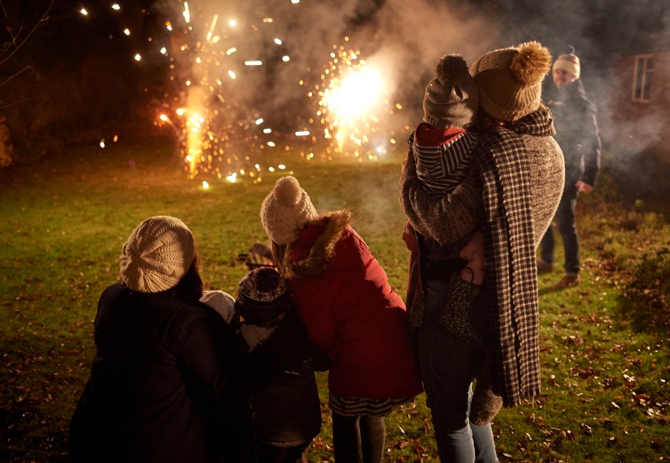 MPs branded 'killjoys' for joining calls for the Government to ban garden firework shows after Bonfire Night