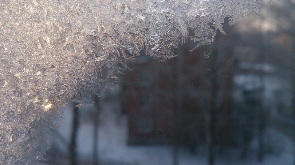 If you don't have double-glazing, spray a fine mist of water on your windows then carefully press bubble wrap against them