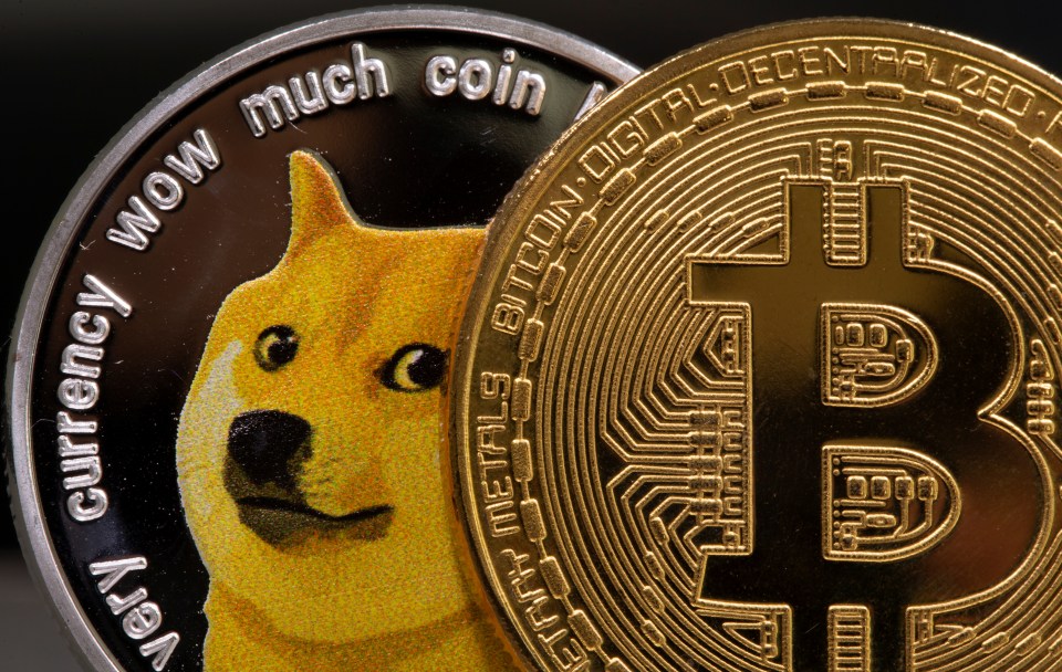 Dogecoin was started as a joke but has now gained traction with amateur investors