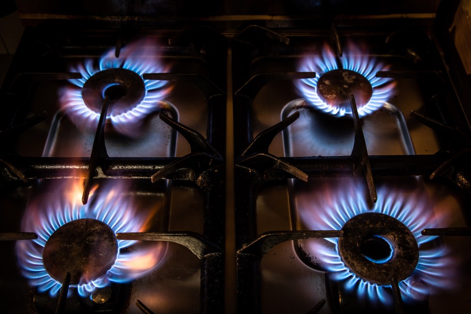 More energy firms are set to go under, The Sun can reveal