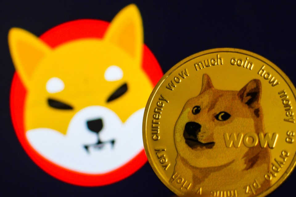 The new cryptocurrency has been marketed  Dogecoin and Shiba Inu