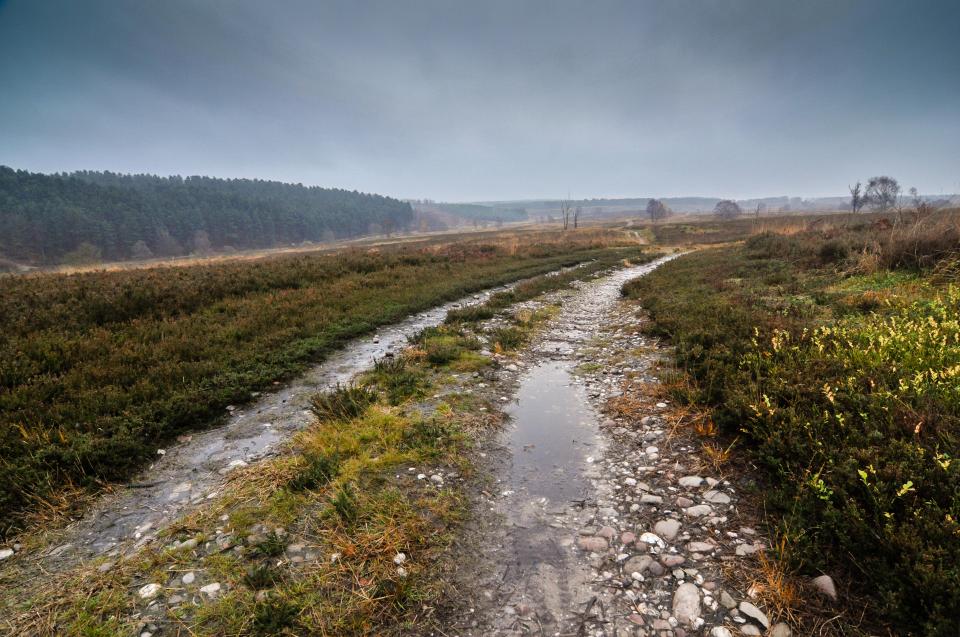 Lee says he found the footprint on Gentleshaw Common at Cannock Chase in Staffordshire