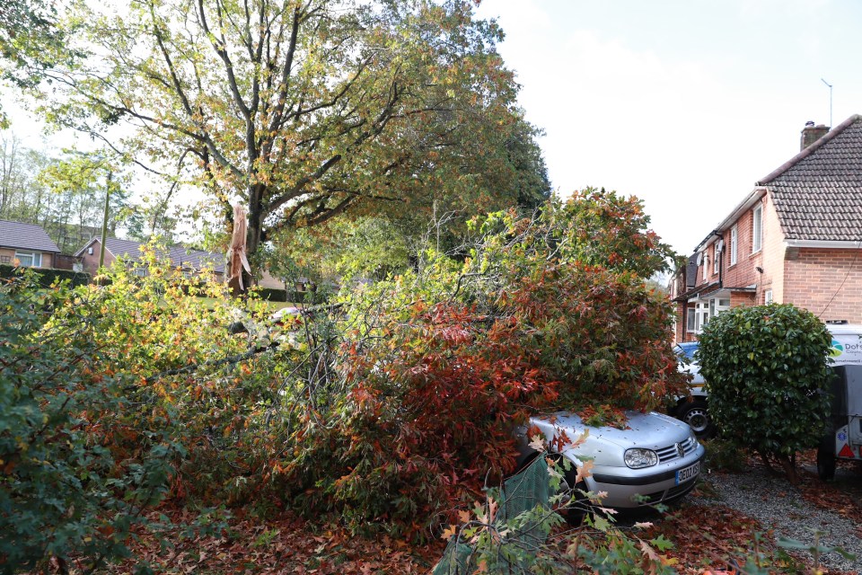 There have also been high winds, which brought down trees in Bournemouth, Dorset