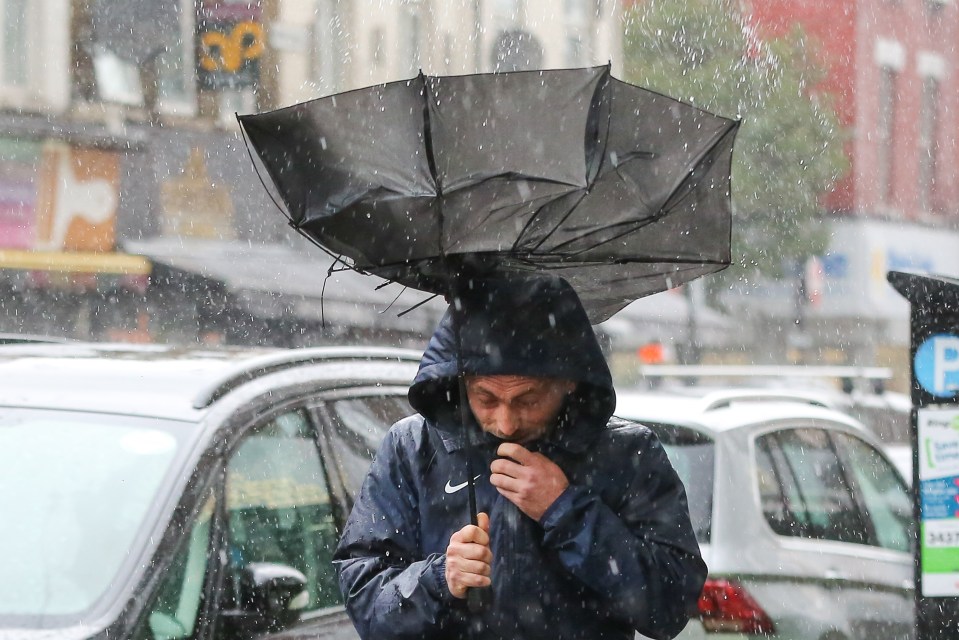 There'll be plenty more rain today - before a deep freeze arrives on Wednesday, forecasters say