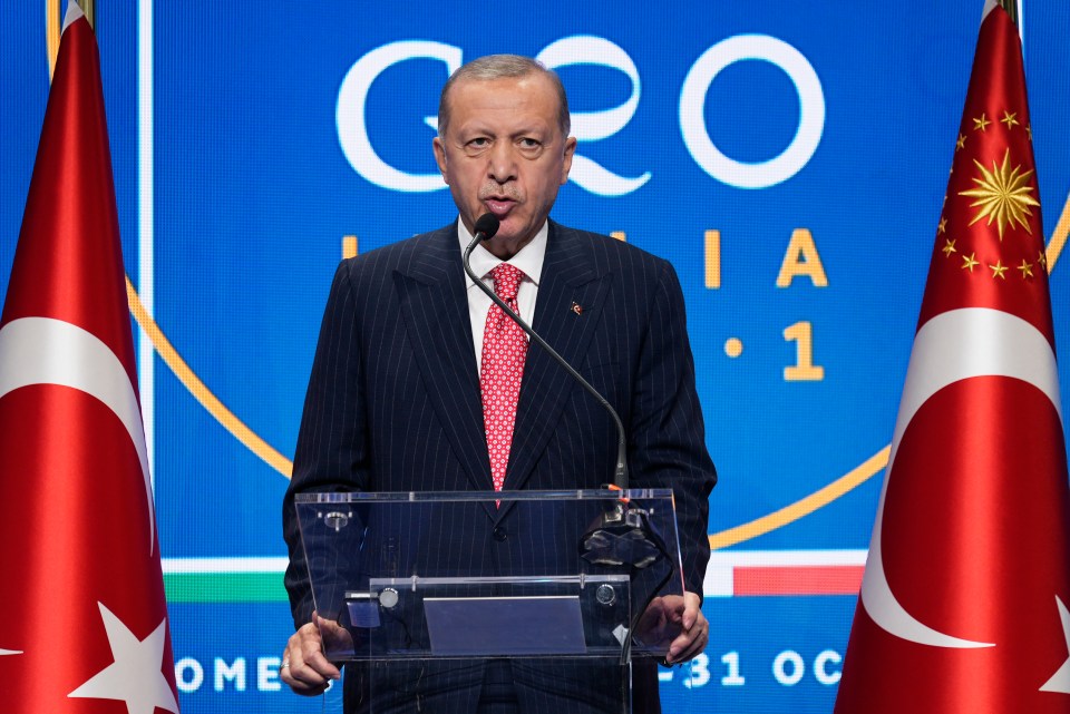 Turkey's President Erdogan will not attend in Glasgow