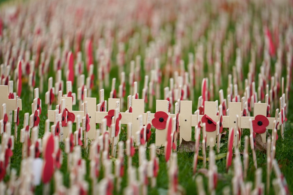 Remembrance Day is held to honour those who lost their lives fighting for their country