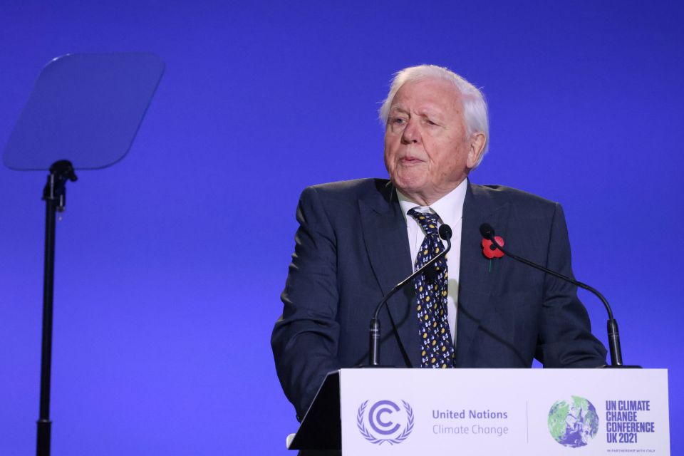 He hailed Sir David Attenborough for his optimism about the opportunities of going green