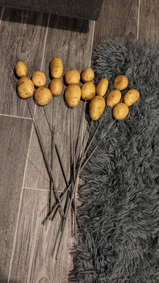 A mum has shared how she puts potatoes on the end of sparklers for her kids to hold so they don't get burned