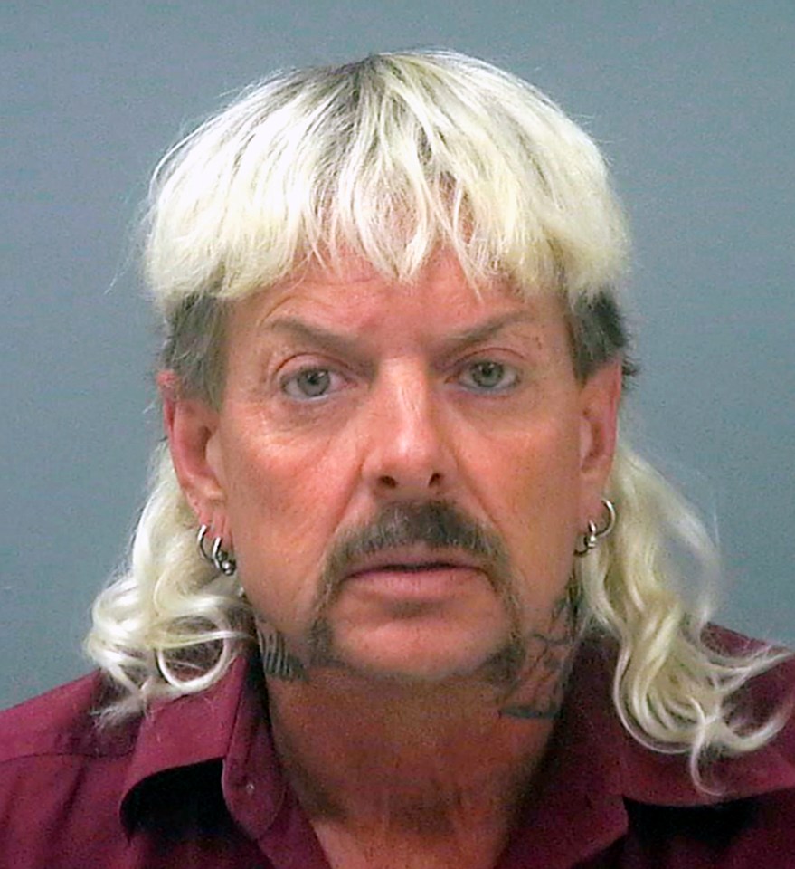 Fans might finally get some answers about whether Joe Exotic should be in prison