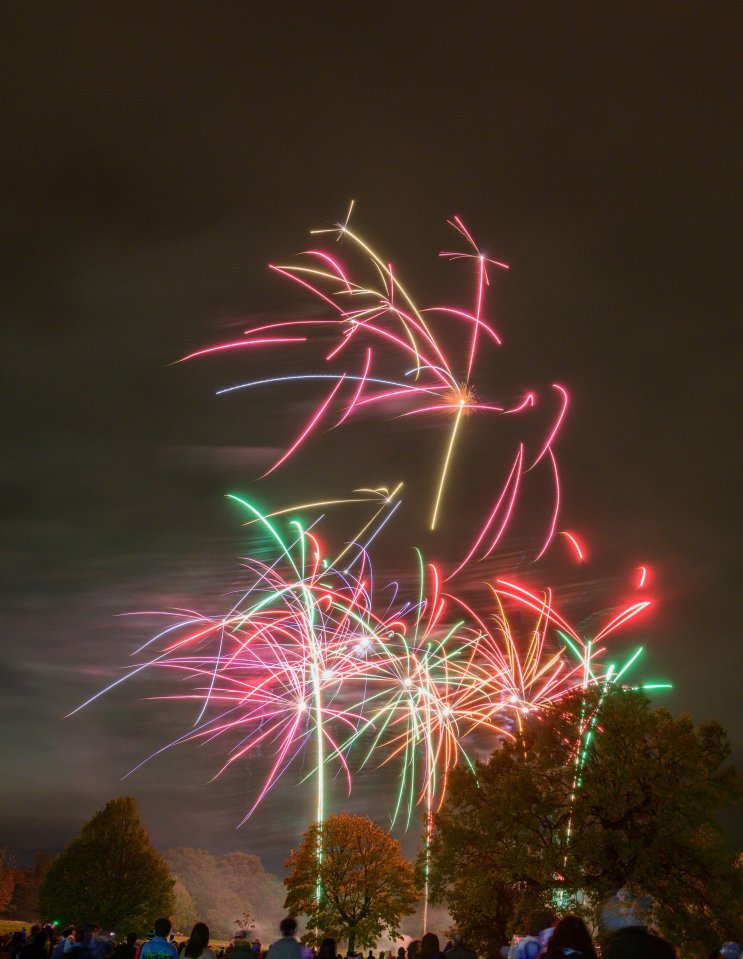 The fireworks display turned into a 'shambles'