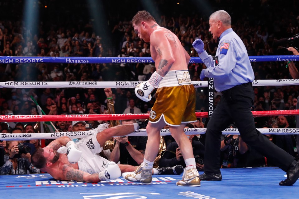 Canelo Alvarez wiped out Caleb Plant in the 11th round with some brutal power