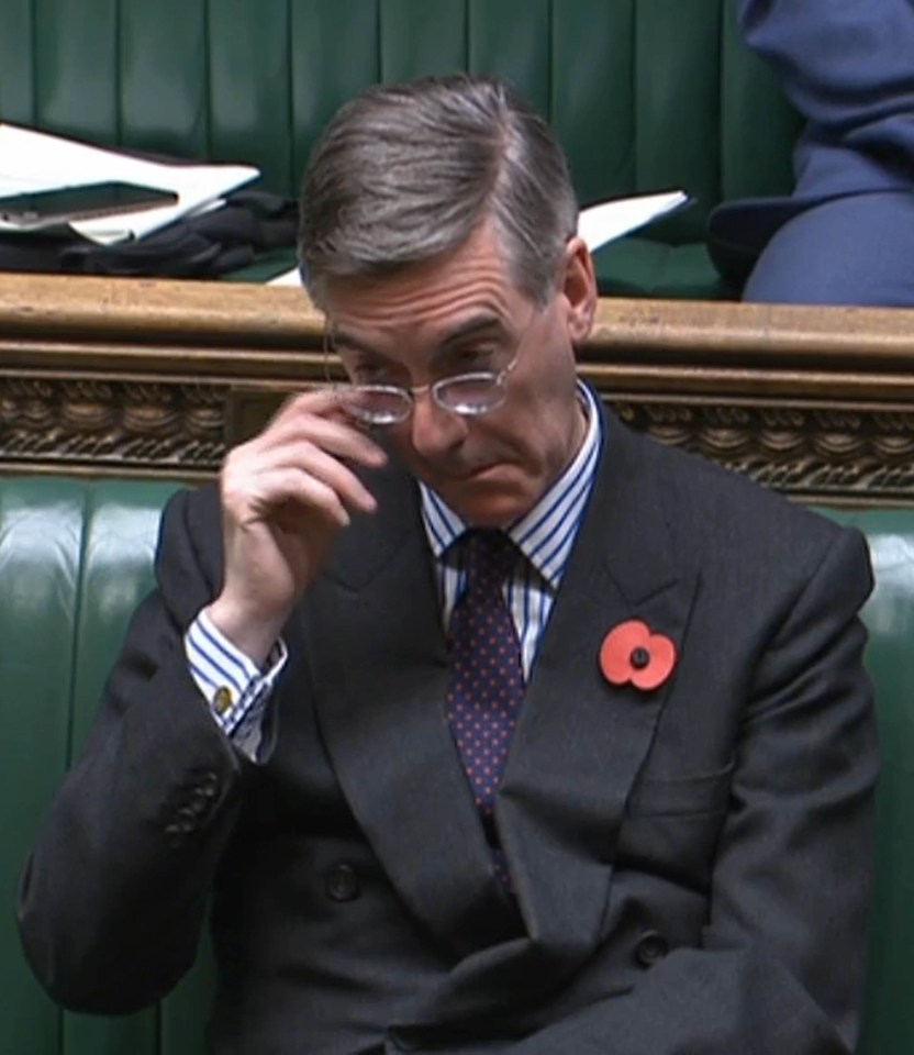 Jacob Rees-Mogg was against the ban, saying: 'We don’t want to be a Parliament of the kind Oliver Cromwell would have enjoyed'