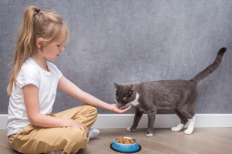 The little girl and the family cat use the same bowl to eat their food