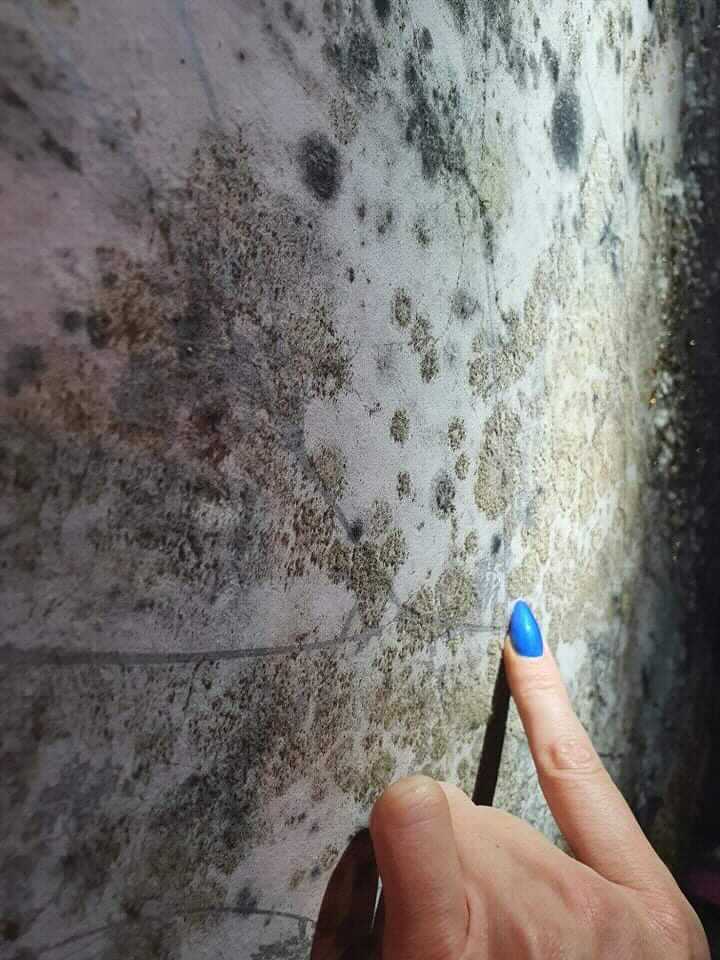 She said the damp caused the wallpaper in her kids' room to peel back