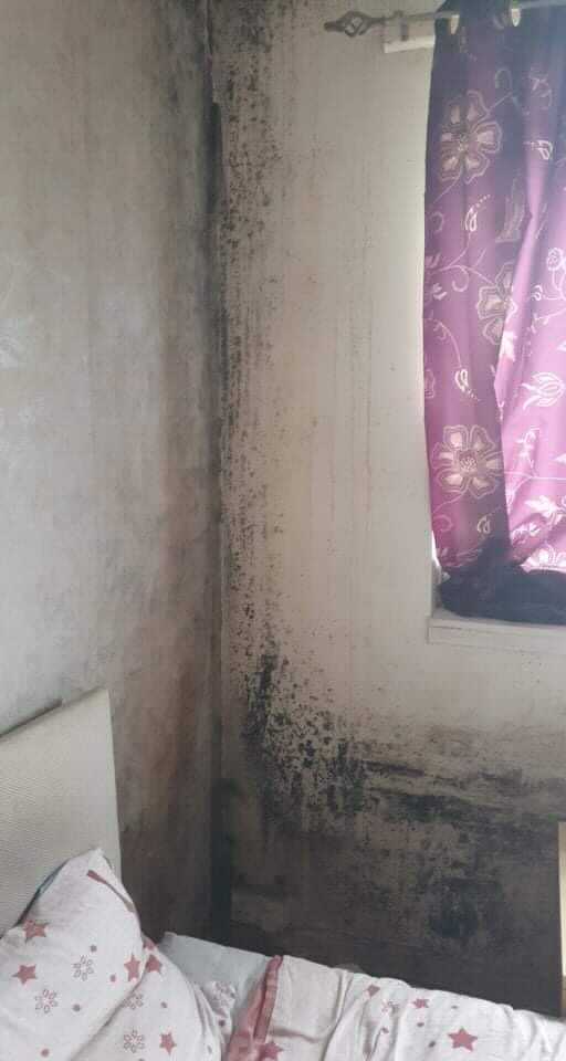 The mum-of-three claims she "tried everything" to get rid of the black mould