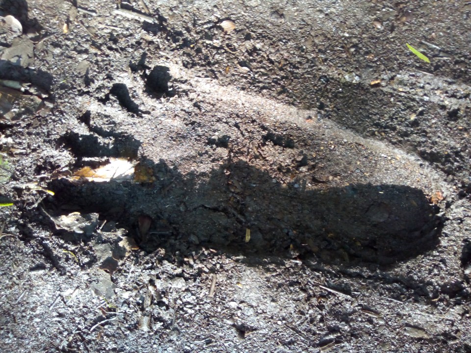 Lee Brickley, 33, says he found an enormous 16.1-inch print he believes belongs to Bigfoot