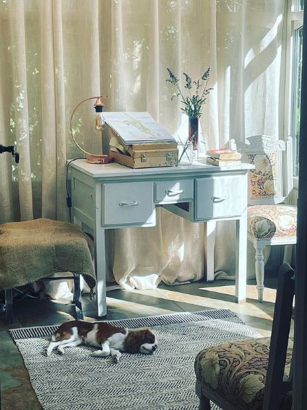 The neutral decor and sophisticated printed chairs and rug are a hit with Emily's dog Penny