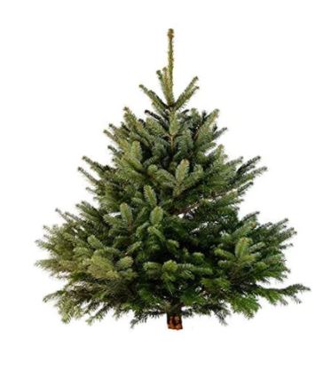 This Christmas tree is the best value for money