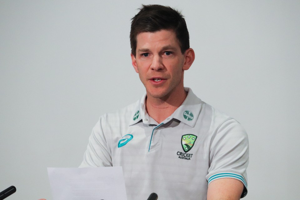 Tim Paine has resigned as captain of the Australian Test cricket team over a sexting scandal