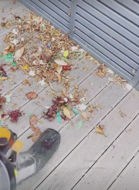 She even even HOOVERS leaves off her decking, using her cordless machine