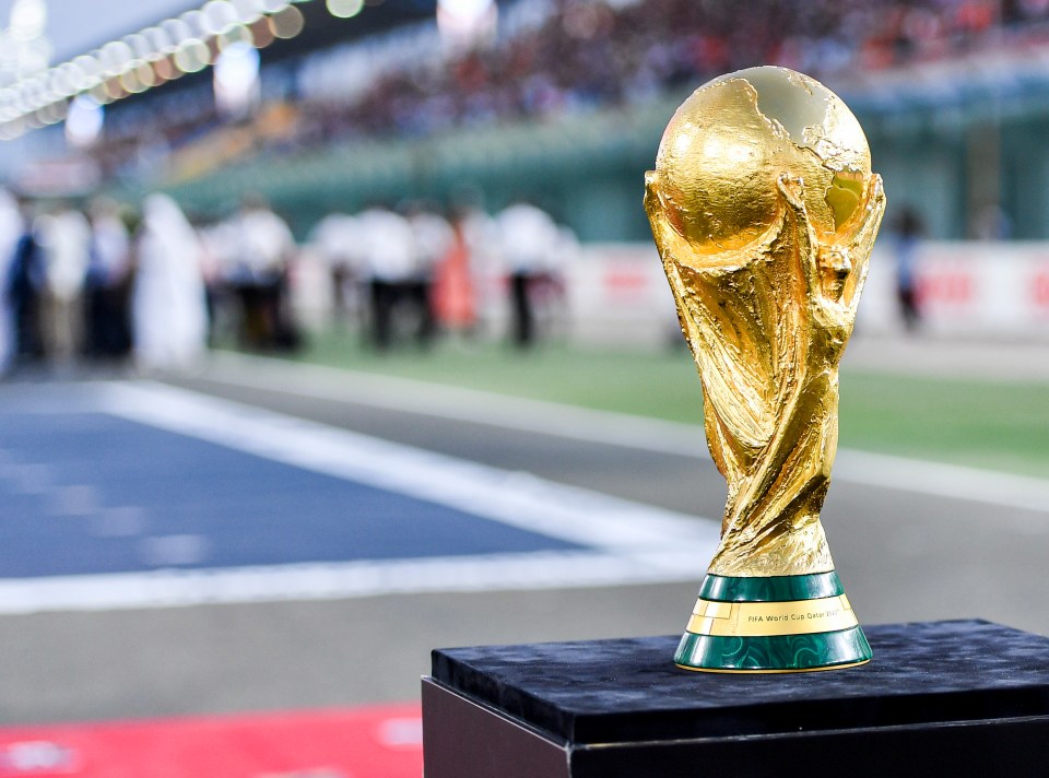 The 2022 World Cup will take place in Qatar next winter