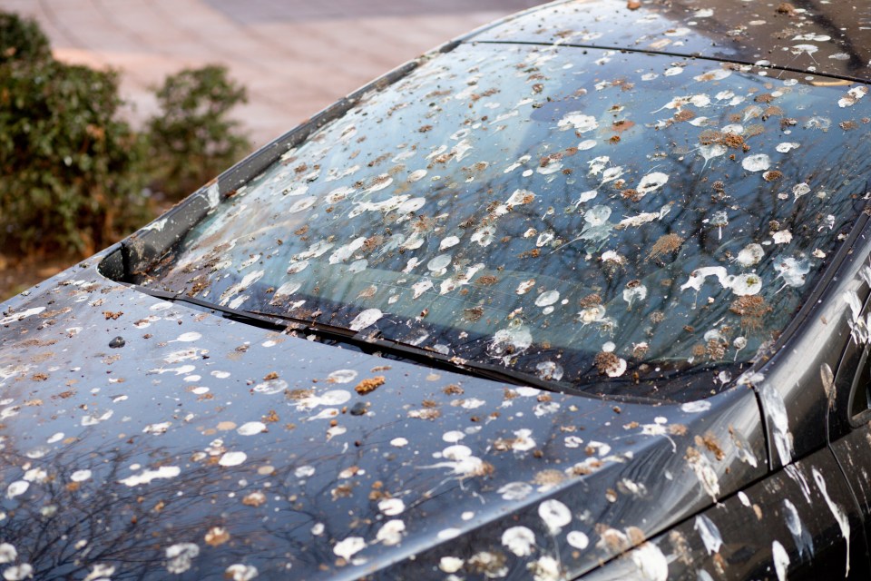 Filthy car? Think again or you could be hit with a hefty fine