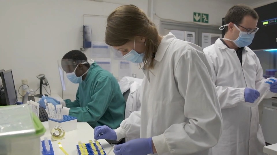 Top Covid tracker Dr Tulio de Oliveira, director at the Centre for Epidemic Response and Innovation (where scientists are pictured working) claimed the new variant had already become dominant in South Africa in the space of two weeks