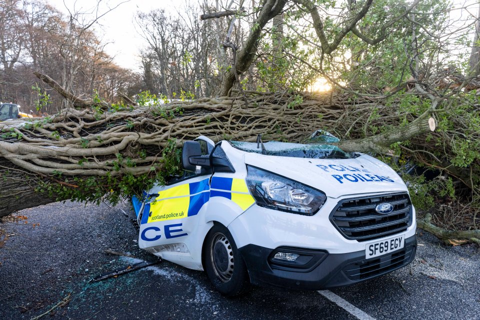 One shocking image shows a police van crushed under a tree in Aberdeenshire