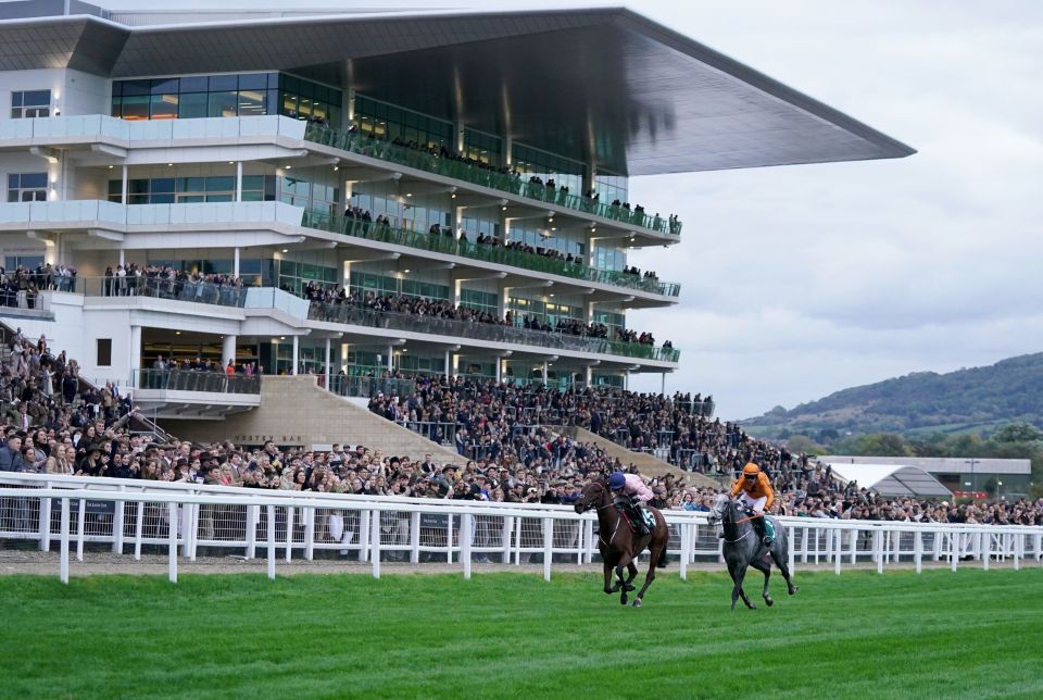 The Cheltenham November meeting is the big event of the week